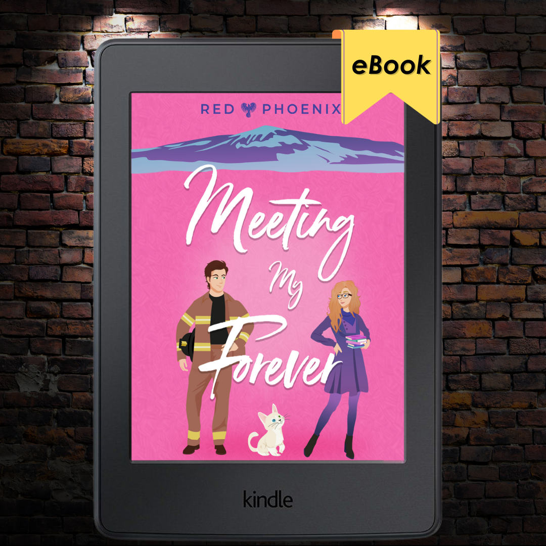 Meeting My Forever (The Brothers Macallan #1) E-book