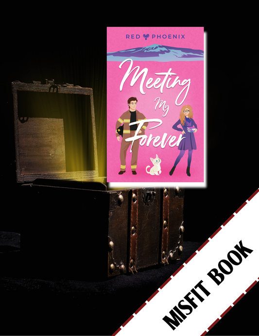 Meeting My Forever (The Brothers Macallan #1) Misfit Book