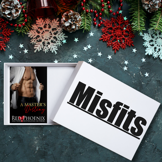 A Master's Destiny (Unleashed #3) Misfit Book